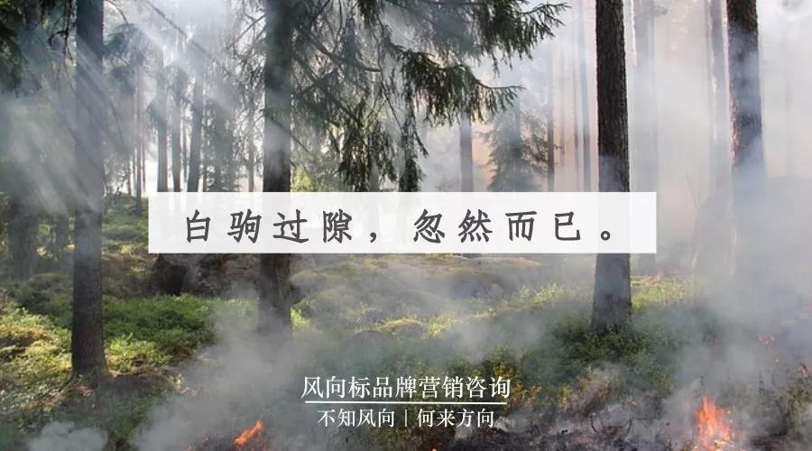 王庆永：变是为了不变【风向标品牌营销咨询】