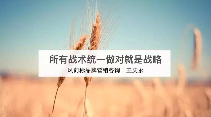 山东临沂品牌策划公司——风向标智库