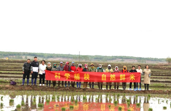 夏日炎炎，上山下田，风向标智库随鲁耕粮品奔赴五常【风向标智库】