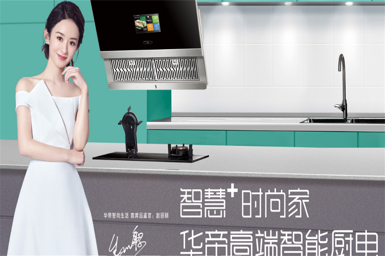 赵丽颖.png